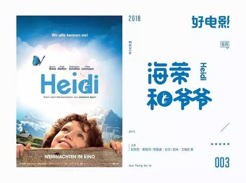 做假爱尔兰居留证